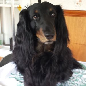 Meet your Posher, Jan